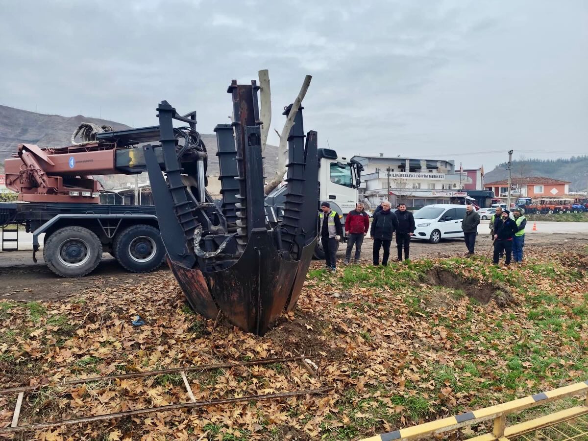 Çınar ağaçları zarar görmeden yeni yerlerine nakledildi