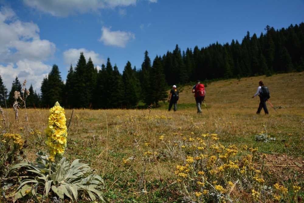 Do?a Turizmi Alanlar?n?n Ve Gastronomisinin Geli?tirilmesi projesi kabul edildi