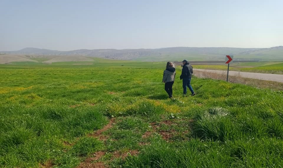 Ziraat Odası Başkanı Adem Efe çiftçileri zararlılara karşı uyardı