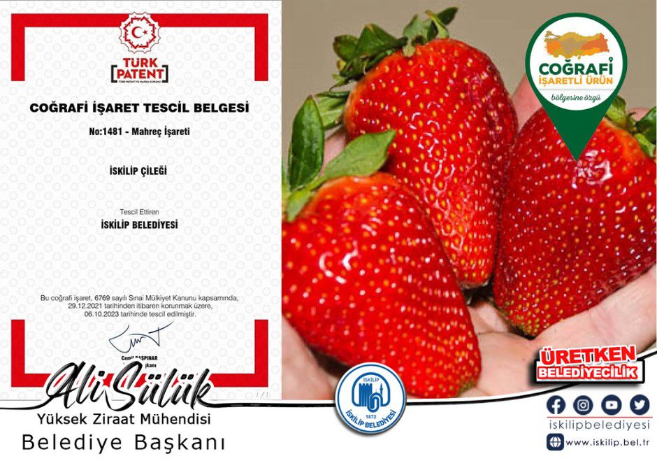 İSKİLİP ÇİLEĞİ TESCİLLENDİ